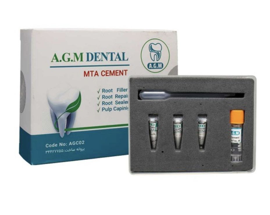 اندودانتیکس