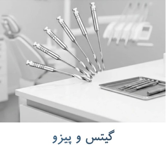 گیتس و پیزو