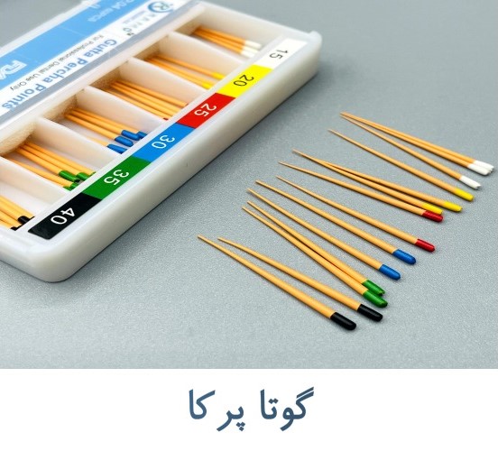 گوتا