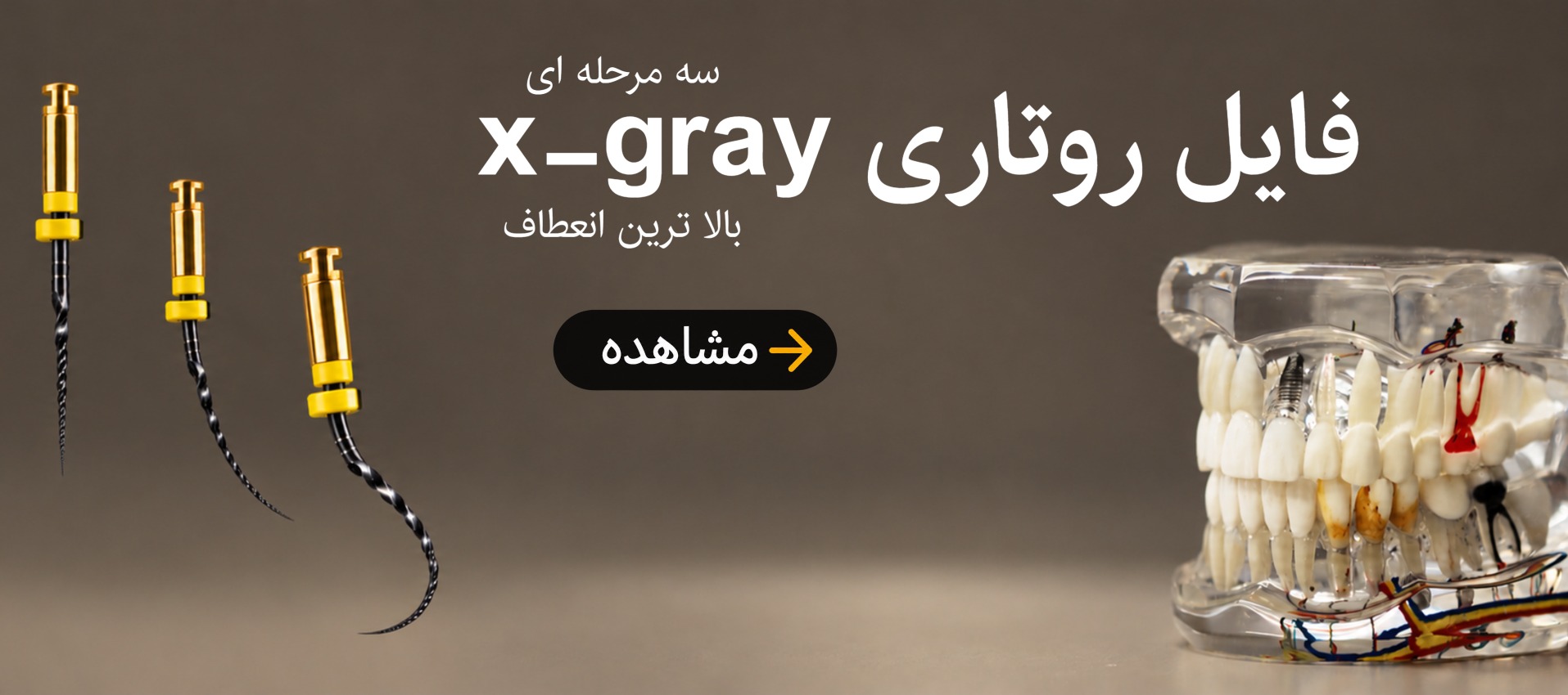 فایل روتاری nic