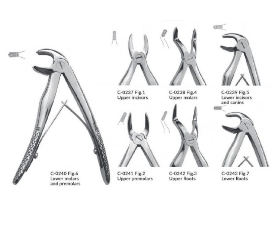 ست فورسپس اطفال 7 عددی