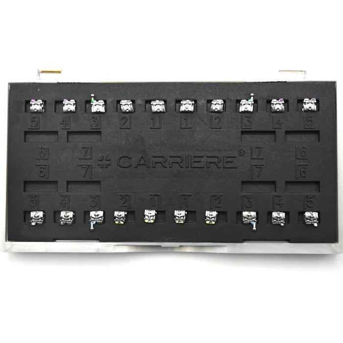 براکتCarrierسلف لیگیتینگ Ortho Organizer
