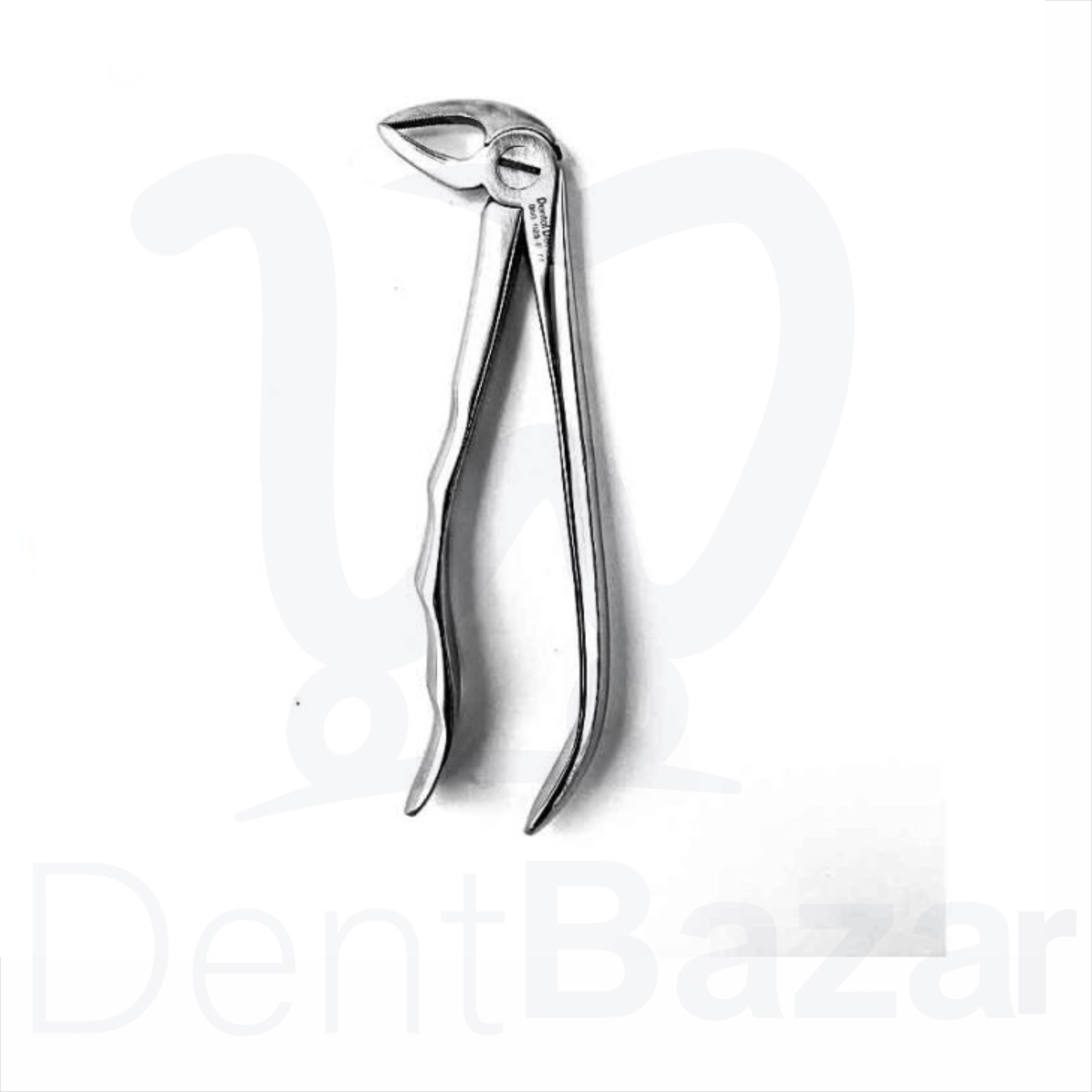فورسپس آناتومیک ریشه کش پایین دنتال دیوایس کد 023_50 | Dental Devices