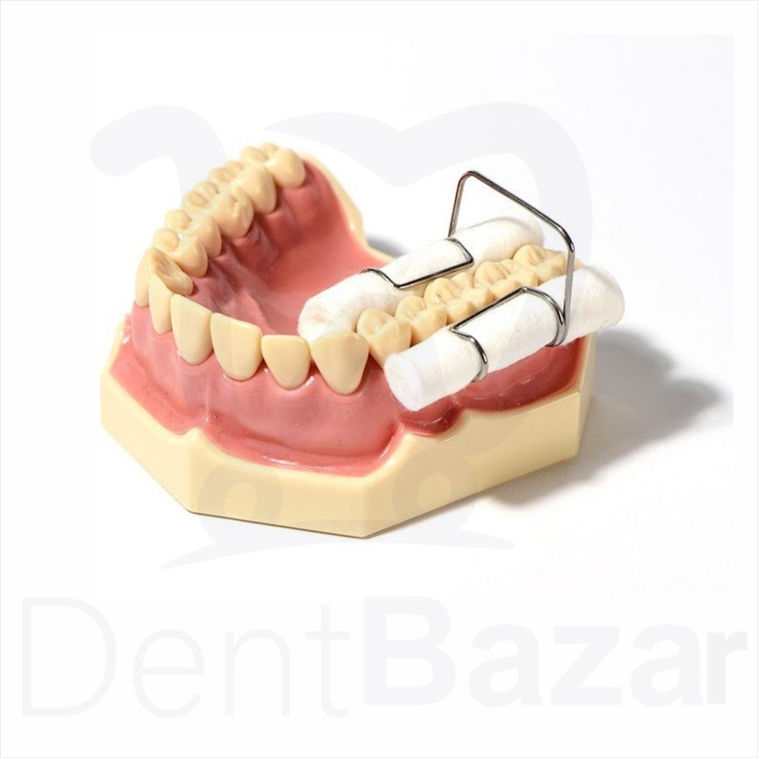 گیره نگهدارنده رول پنبه استیل ۴عددی | Healdent Stainless Steel Cotton Roll Clips