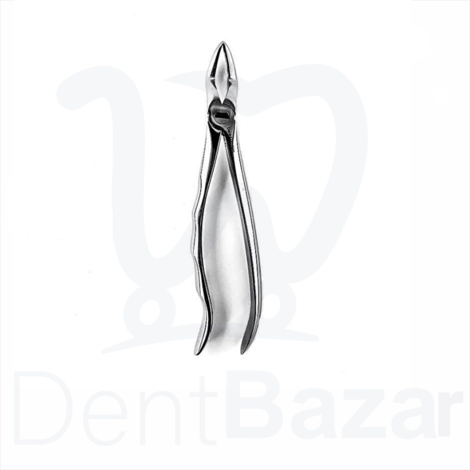 فورسپس آناتومیک ریشه کش بالا دنتال دیوایس کد 029_50 |  Dental Devices Forceps