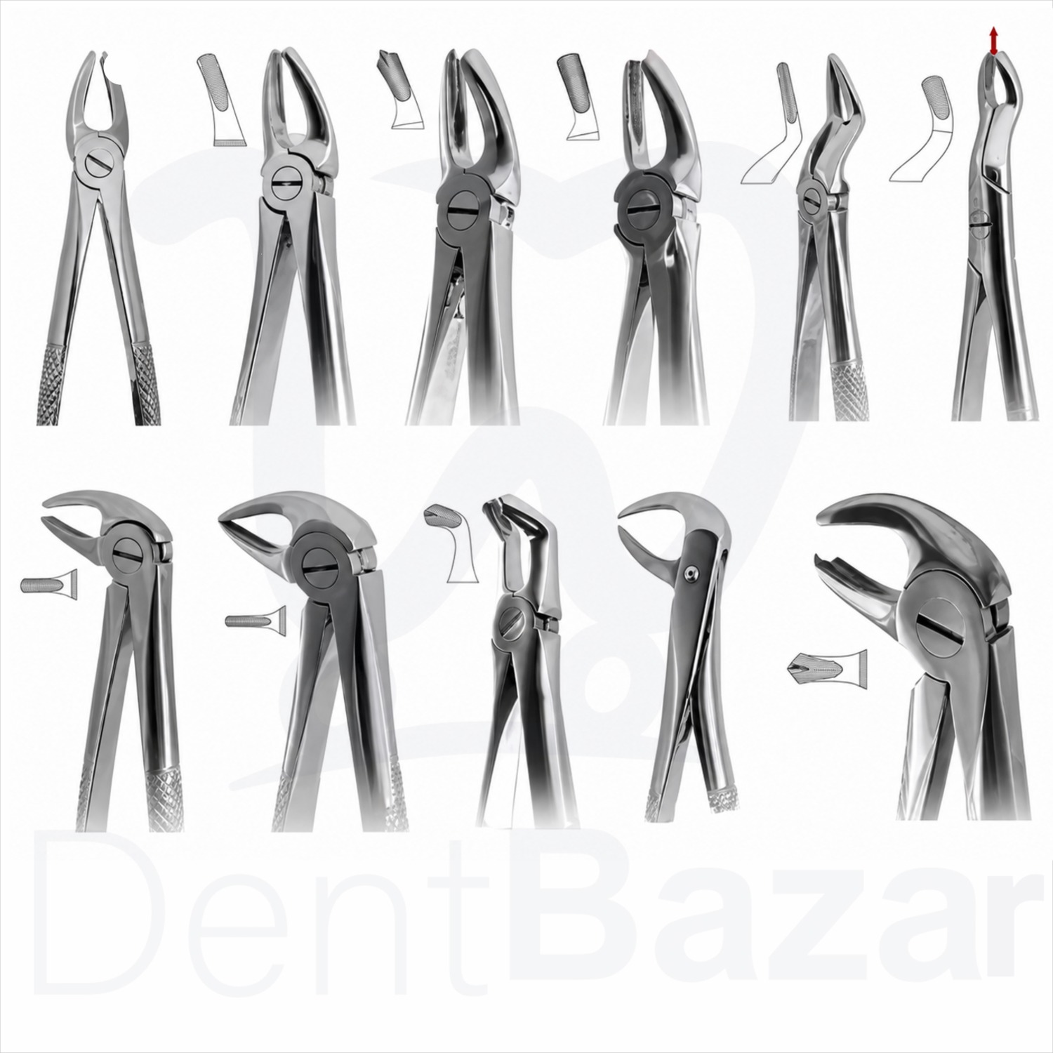 ست فورسپس ١١ عددى كاريزما کد 050-050 | Charisma Forceps